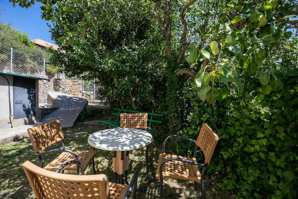 Casa Feli - Apartamento Con Jardin Privado En Los Pirineos Castiello de Jaca Luaran gambar