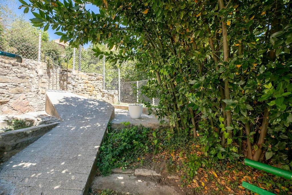Casa Feli - Apartamento Con Jardin Privado En Los Pirineos Castiello de Jaca Luaran gambar
