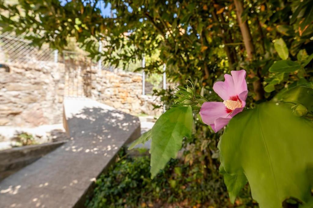 Casa Feli - Apartamento Con Jardin Privado En Los Pirineos Castiello de Jaca Luaran gambar